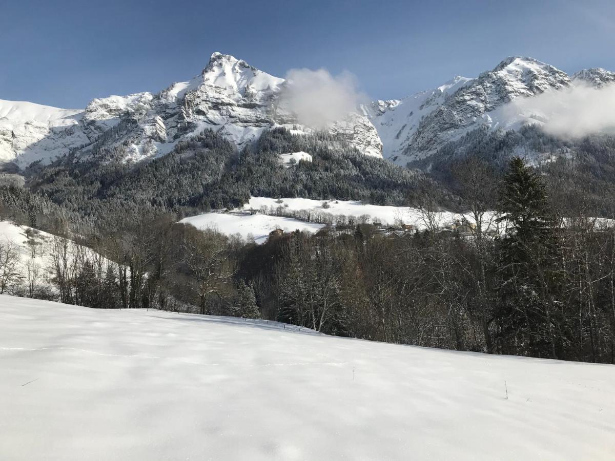 Magnifique T3 Entre Lac Et Montagne Pres D'Annecy Montmin Exteriör bild